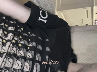 David1123
