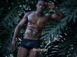 Dimitrystud