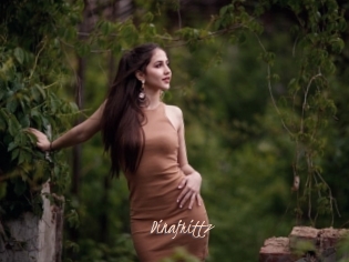 Dinafrittz