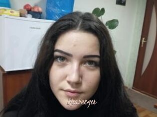 ElsaDanger