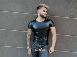 ErosDion