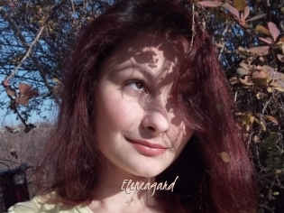 eleneagard Sexenmacht