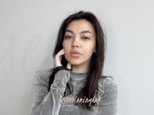 Elenebirmingham