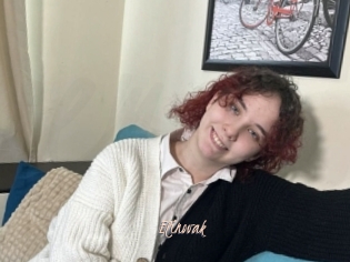 Elinovak