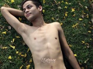 Eliotgrey