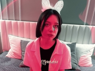 Ellywonders