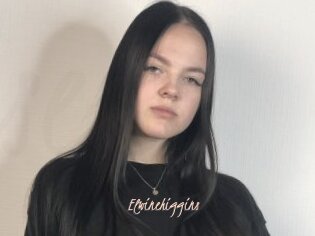 Elwinehiggins