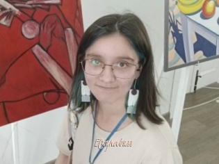Elwynabuss