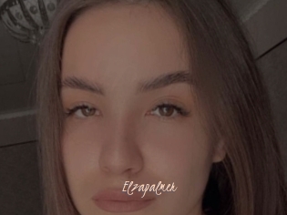 Elzapalmer