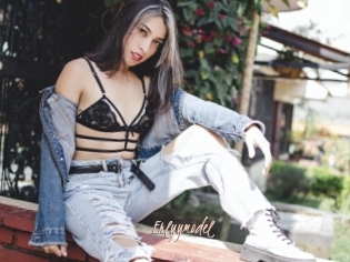 Erlyymodel