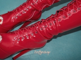Evellynereys