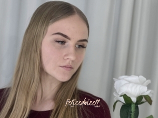Felicedwinell