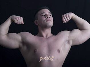 GavinColt