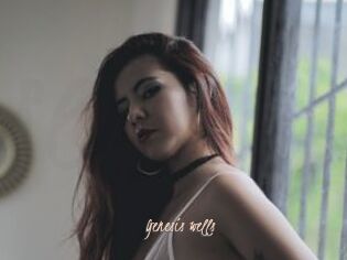 Genesis_wells