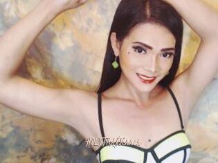 HOLYTRANSinner