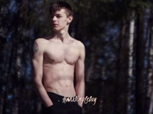 HansSimpleBoy
