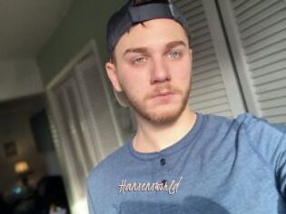 Hansensworld