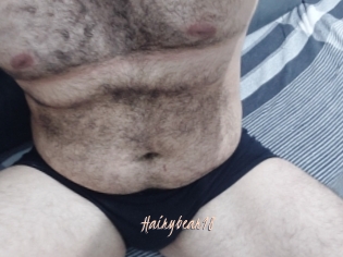 Hairybear18