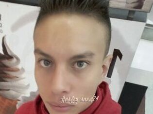 Harley_hard24
