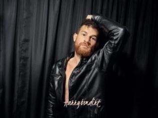 Harrybsmdirt