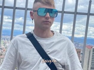 Harvyzu