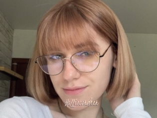 Holliscordner
