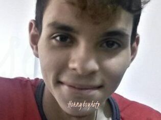 Hornyboyhotx