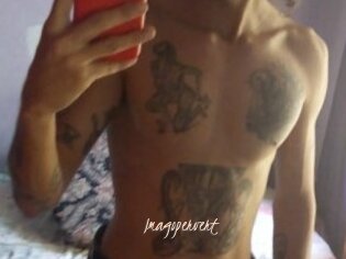 Imagopervert