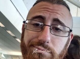 Jakesbigsnake