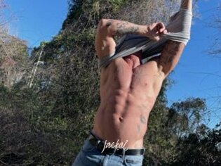 Jackal