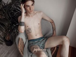 Jaybreeze