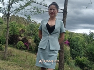 Jxliuxiaoying