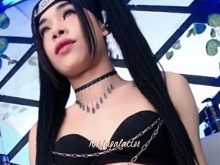 Karlapalacios