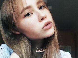 LeeSIMS