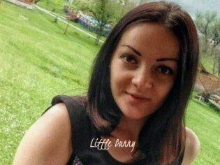 Little_Bunny_