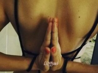 Littlesub