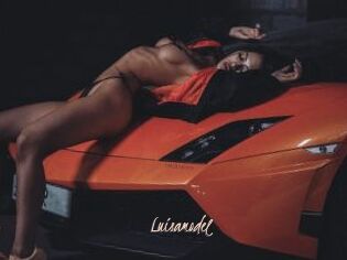 Luisamodel