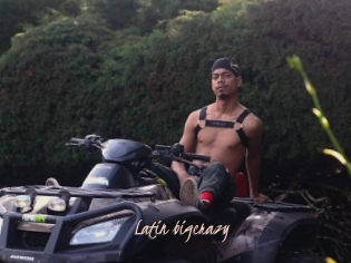 Latin_bigcrazy