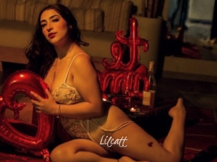 Lilcatt