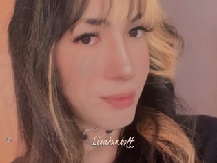 Lisahumbolt