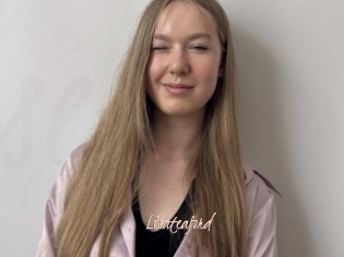Lisateaford