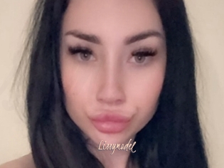 Lissymodel