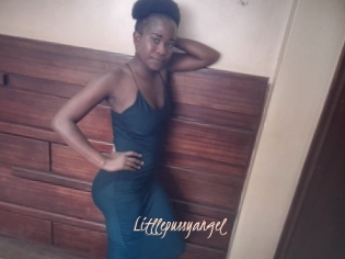 Litllepussyangel