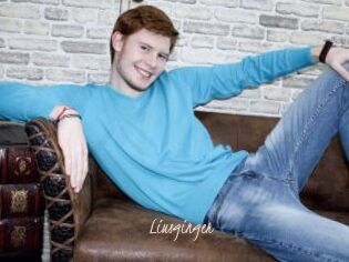 Liusginger