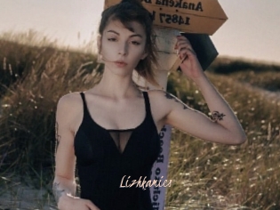 Lizhkamics
