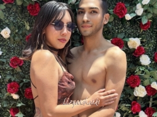 Lizyandmarks