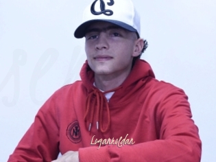 Loganroldan