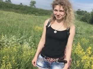 PerfectAngel