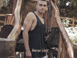 Marcus_Levit
