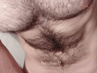 Marcobear18
